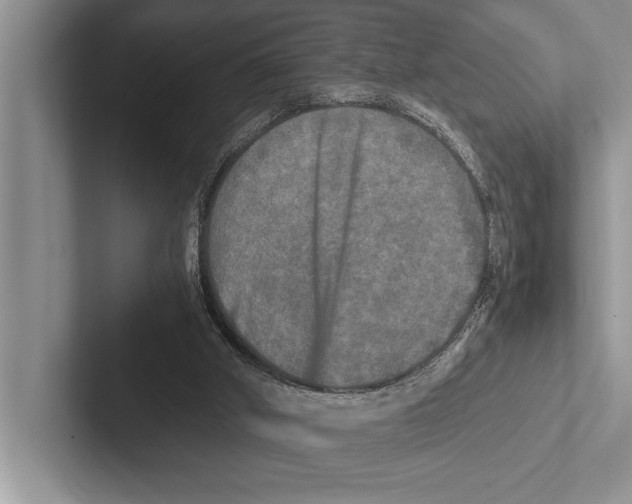 X0000102520010200809051453