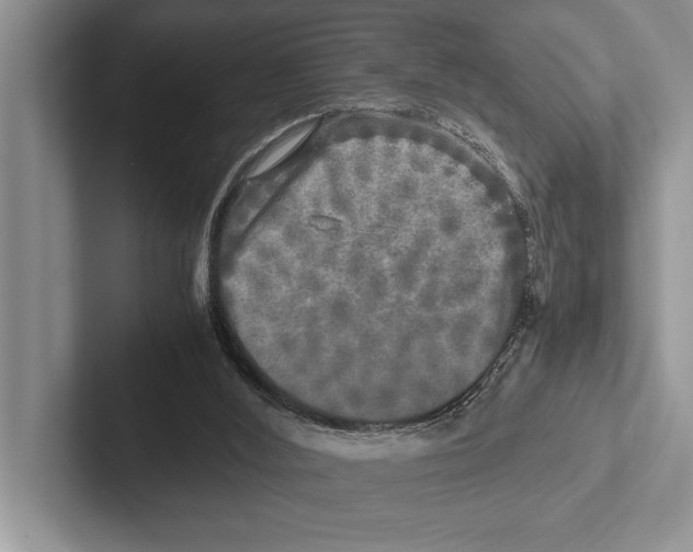 X0000102520012200809051453