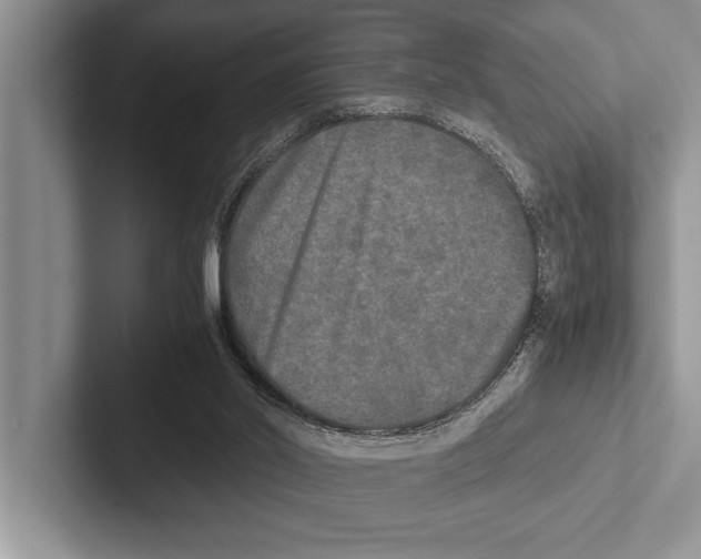 X0000102520014200809051453