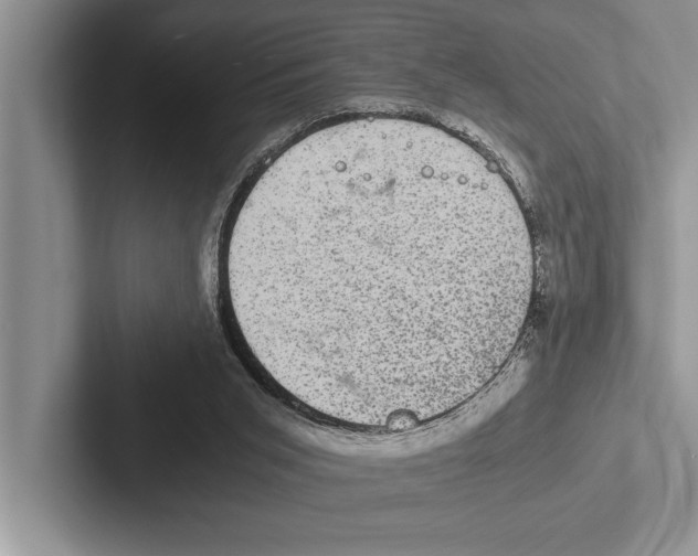 X0000102520015200809051453