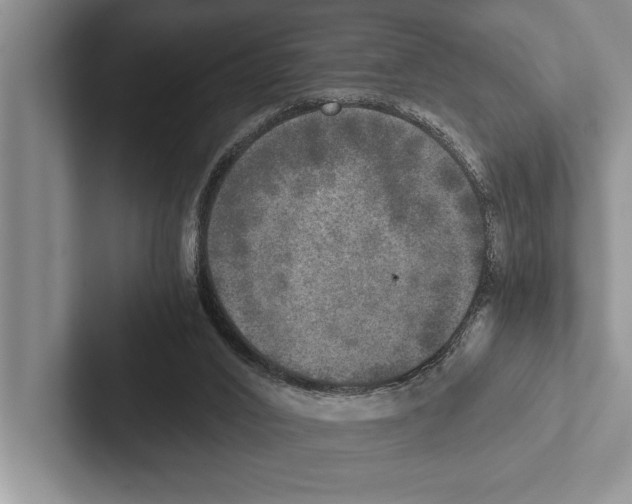 X0000102520016200809051453