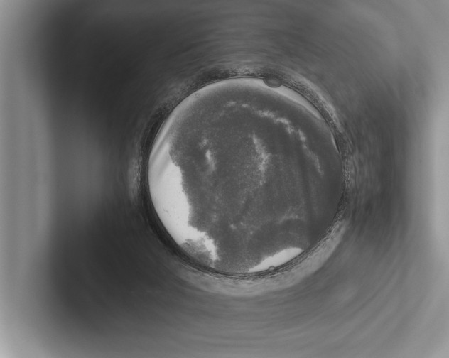 X0000102520018200809051453