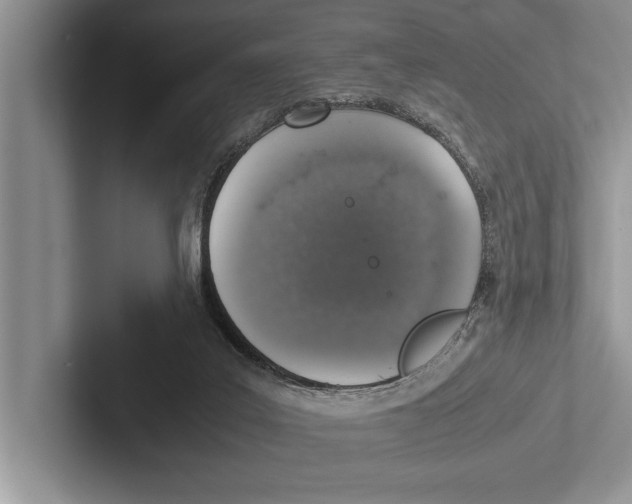 X0000102520019200809051453