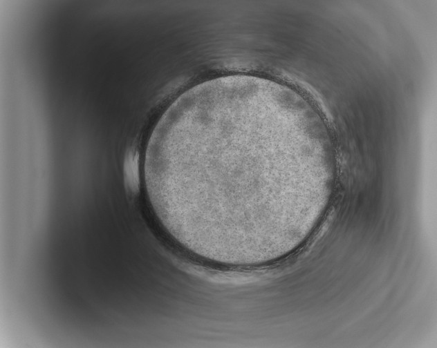 X0000102520020200809051453