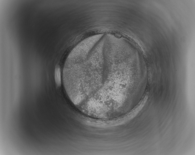 X0000102520022200809051453
