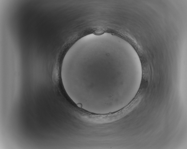 X0000102520023200809051453