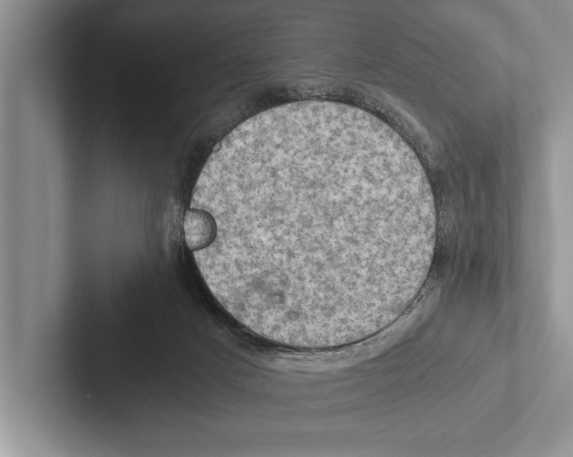 X0000102520025200809051453