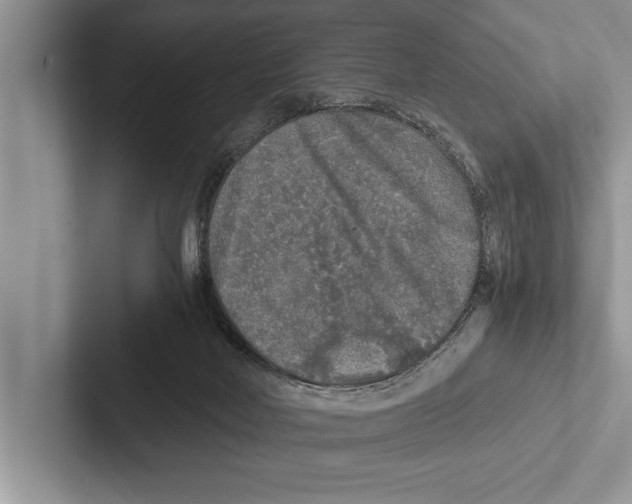 X0000102520026200809051453