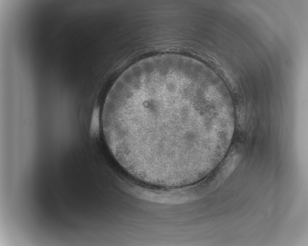 X0000102520028200809051453