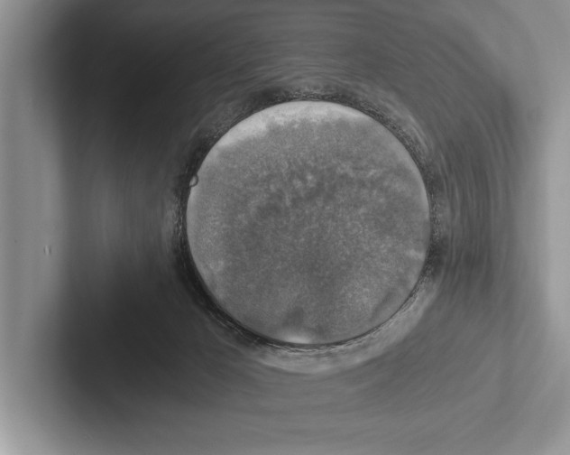 X0000102520029200809051453