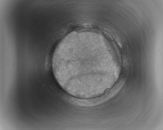 X0000102520030200809051453