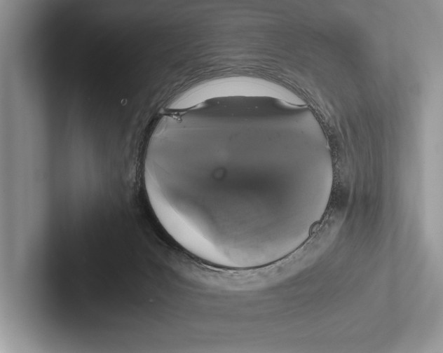 X0000102520031200809051453