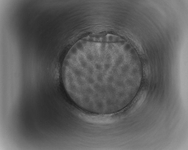 X0000102520032200809051453