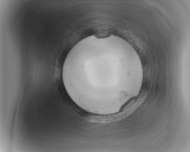 X0000102520033200809051453