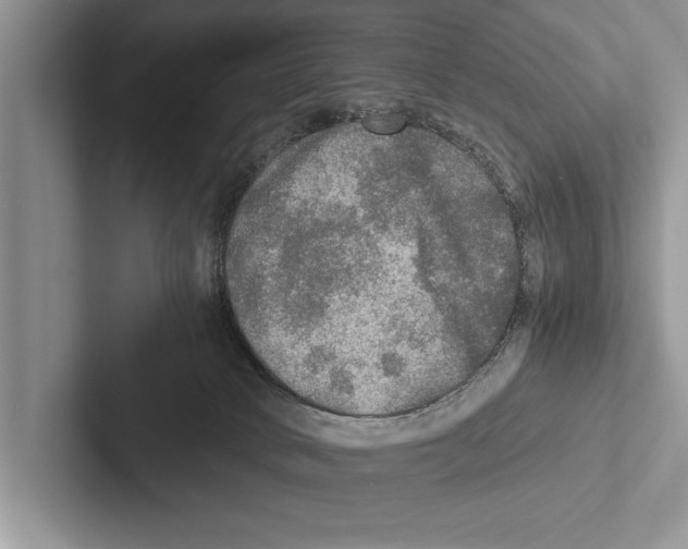 X0000102520034200809051453