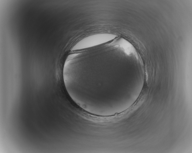 X0000102520035200809051453