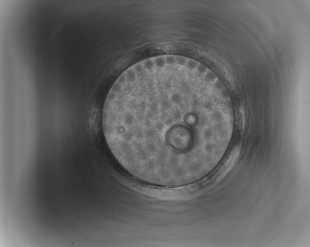 X0000102520036200809051453