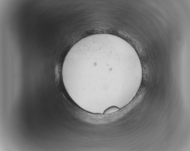 X0000102520038200809051453