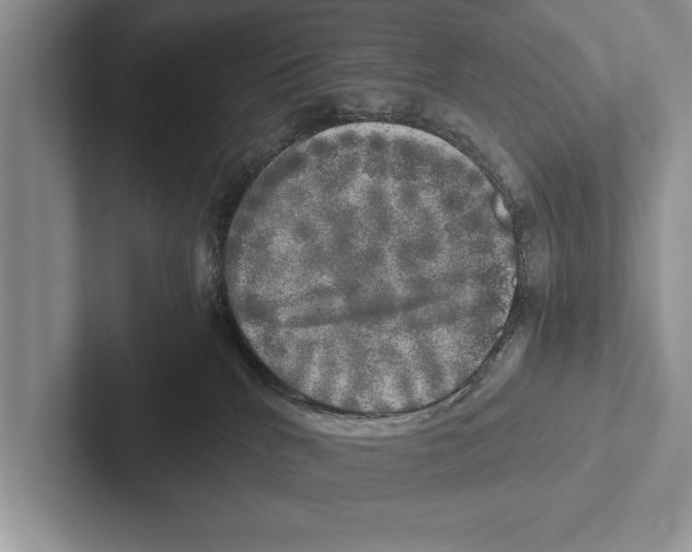 X0000102520040200809051453