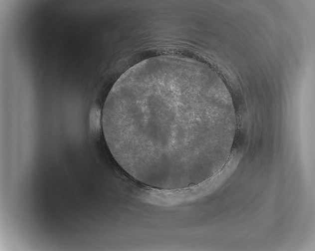 X0000102520041200809051453