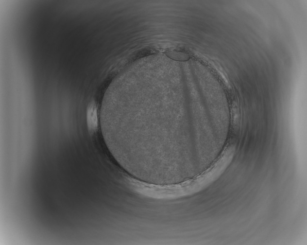 X0000102520042200809051453