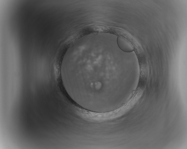 X0000102520043200809051453