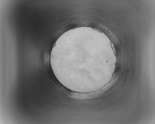 X0000102520045200809051453