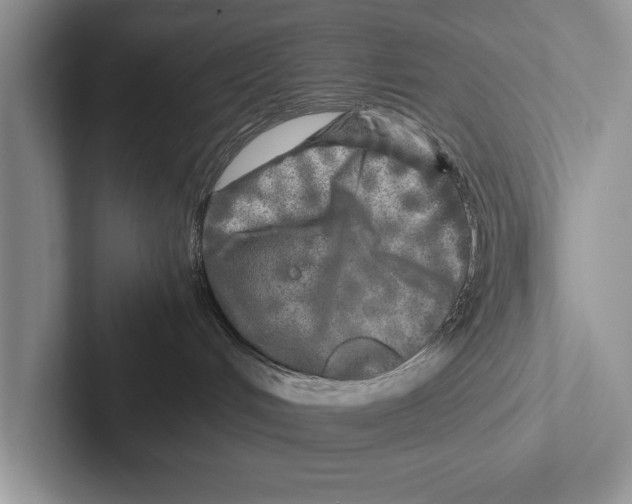 X0000102520048200809051453