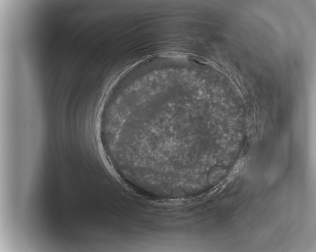 X0000102520049200809051452