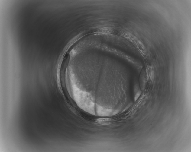 X0000102520051200809051452