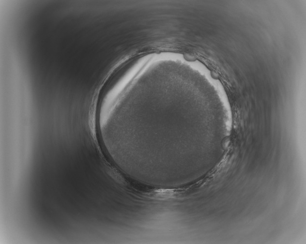 X0000102520052200809051452