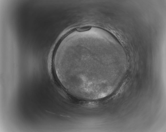 X0000102520056200809051452