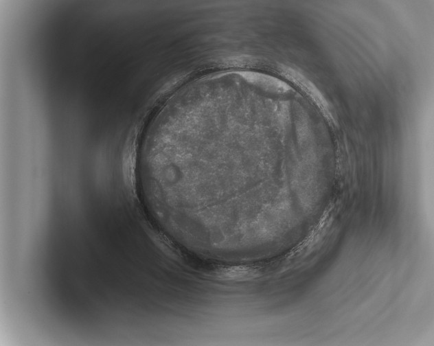 X0000102520058200809051452
