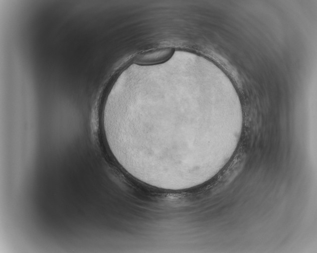 X0000102520060200809051452