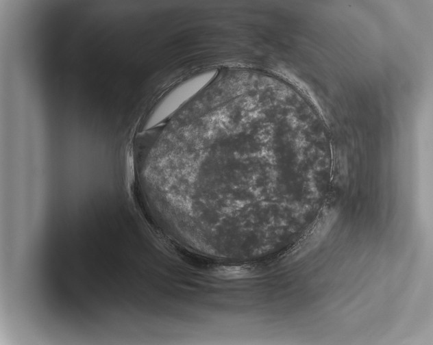 X0000102520061200809051452