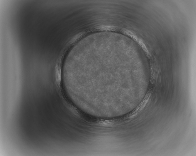 X0000102520062200809051452