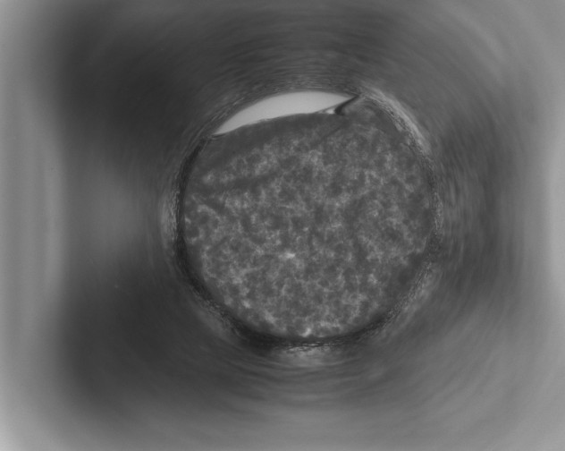 X0000102520065200809051452