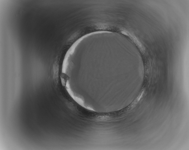 X0000102520066200809051452