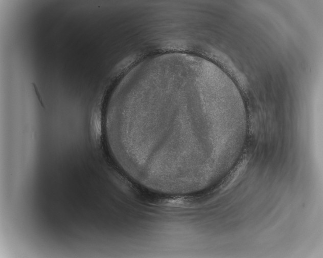 X0000102520068200809051452