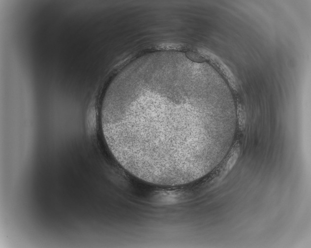X0000102520071200809051452