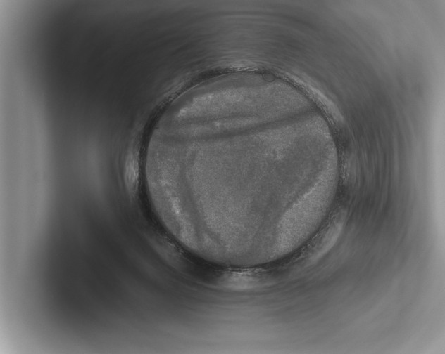 X0000102520072200809051452