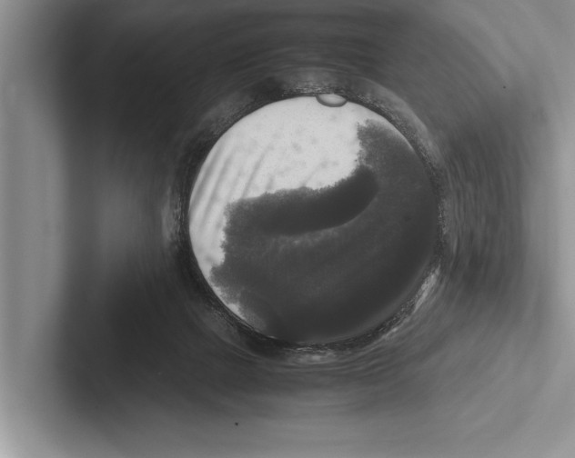 X0000102520073200809051452