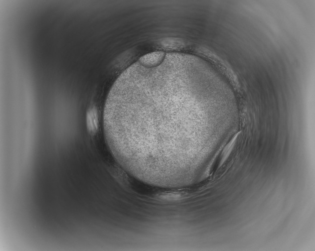 X0000102520075200809051452