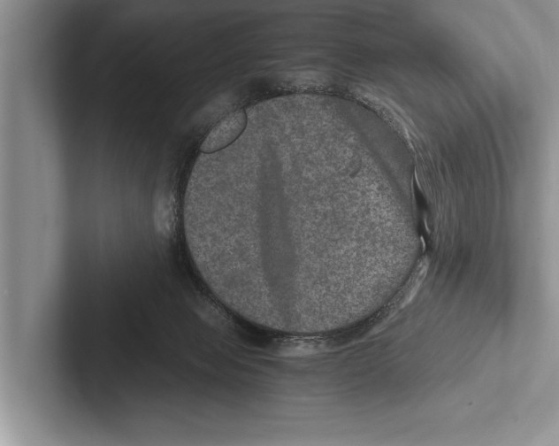 X0000102520077200809051452