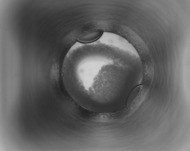X0000102520080200809051452