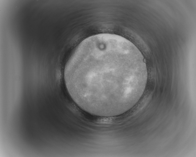 X0000102520084200809051453