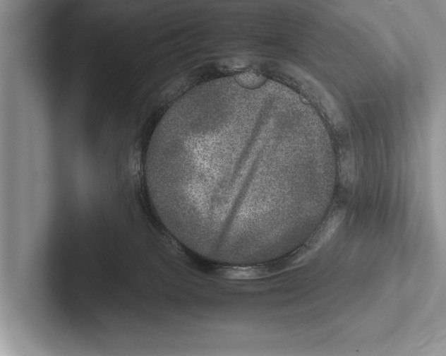 X0000102520085200809051453