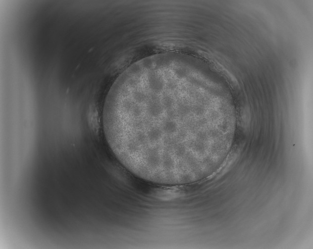 X0000102520086200809051453