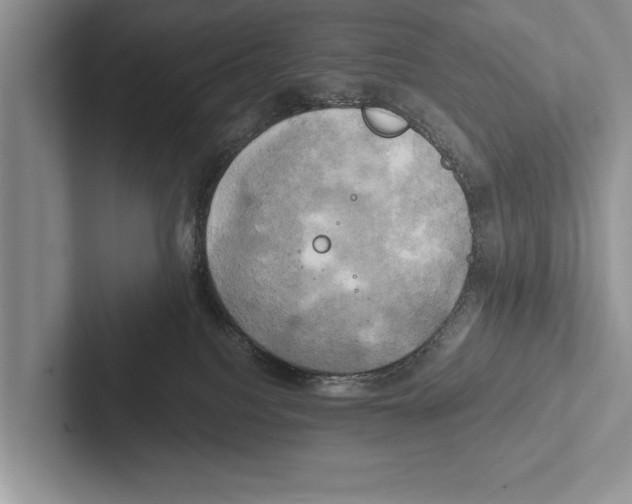 X0000102520088200809051453