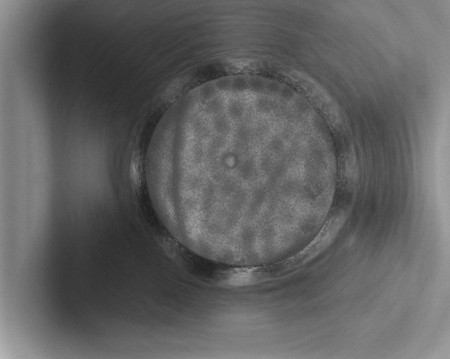 X0000102520090200809051453